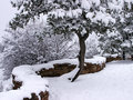 Path