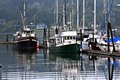 Fishing Fleet