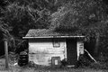 BW Shed