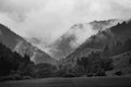 BW Foggy Hills