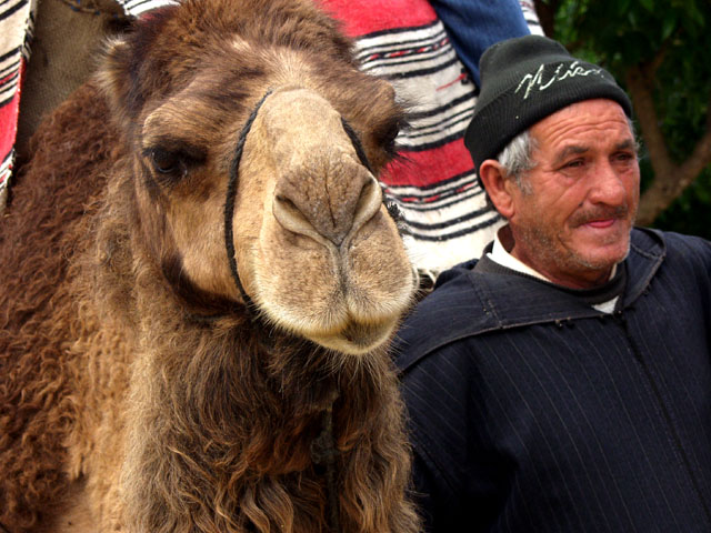 ManWithCamel