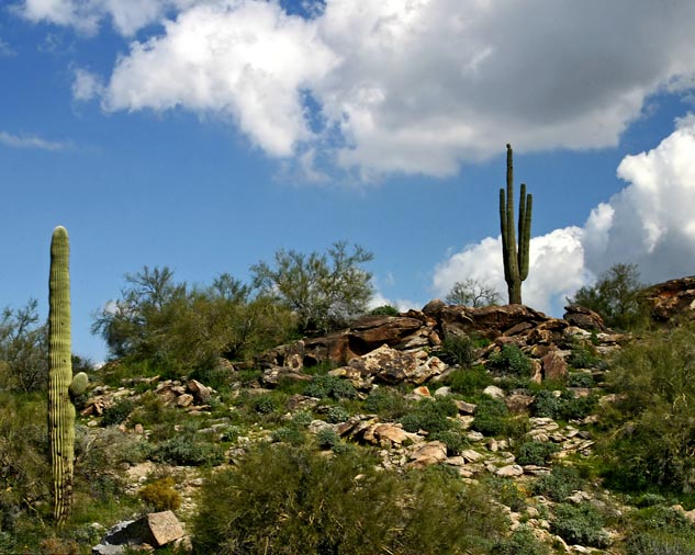 South Mountain