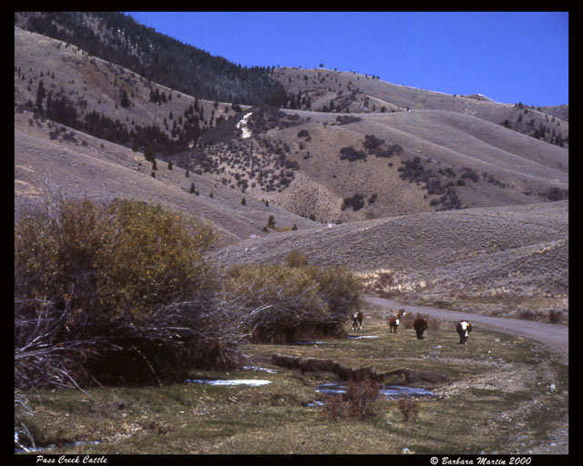 Pass Creek