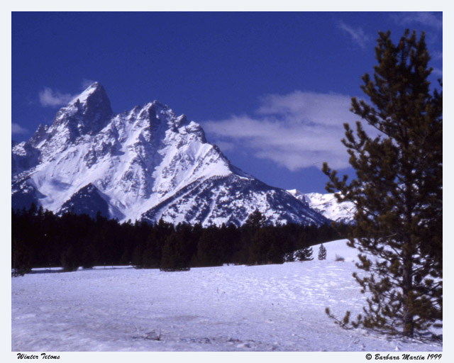 Winter Tetons