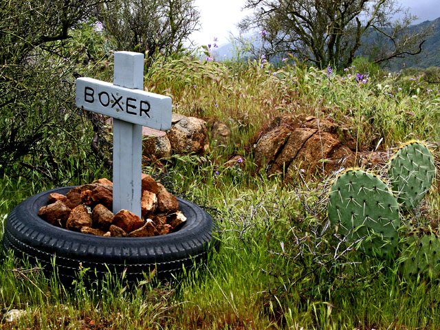 Boxer_Grave