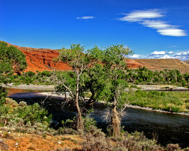 Red Wyoming.jpg