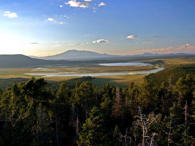 Mormon Lake