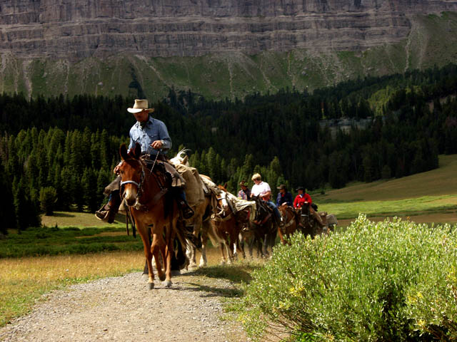 Pack Train
