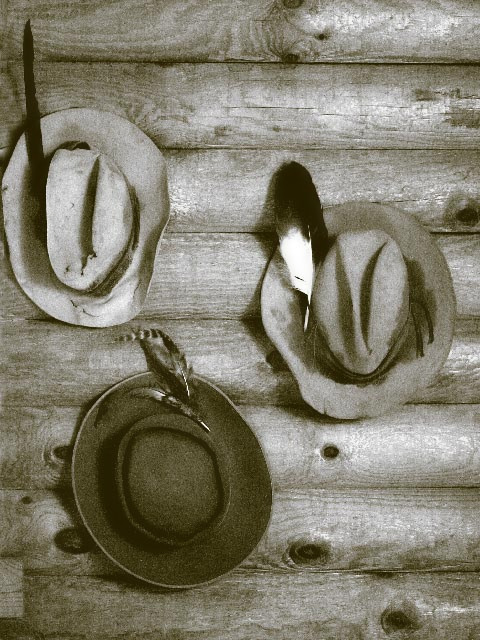 Hats on the Wall