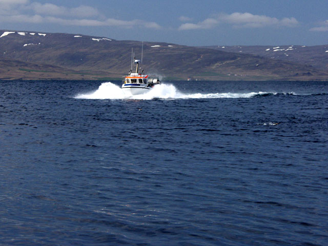 Chartered Boat