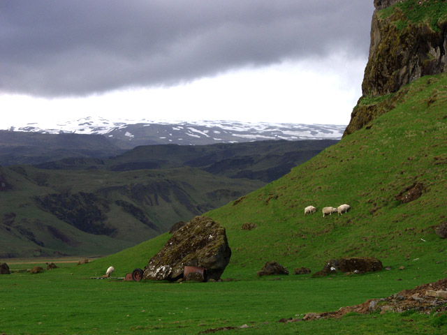 Grazing