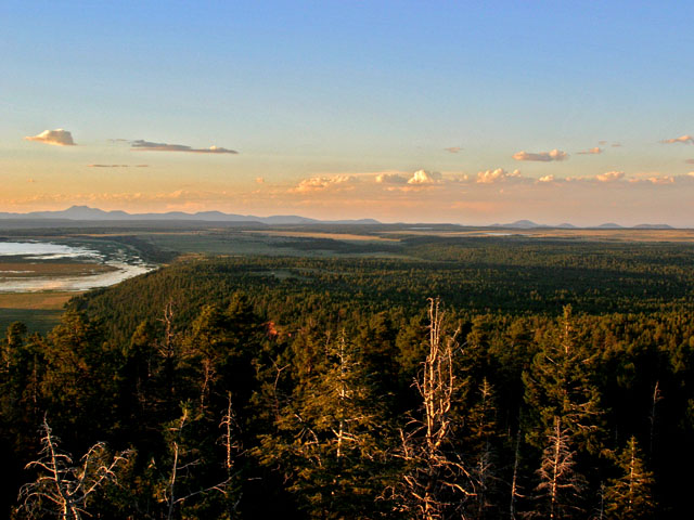 Fire Tower View