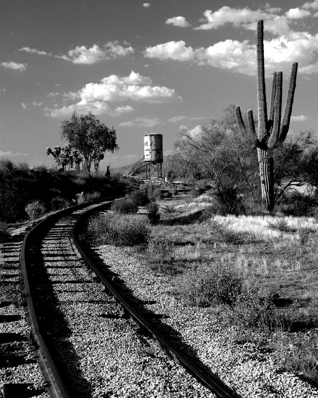 Tracks into the Desert