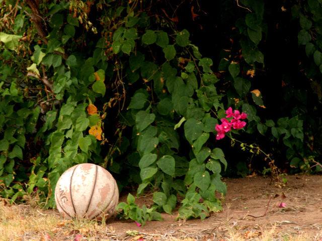 Forgotten Ball