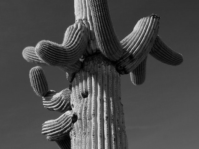 Details