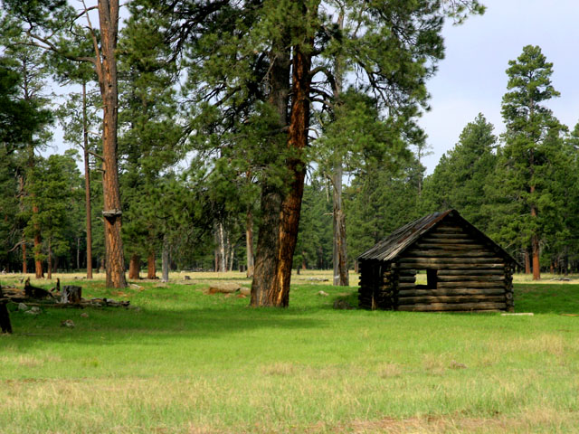 Cabin in the woods.jpg