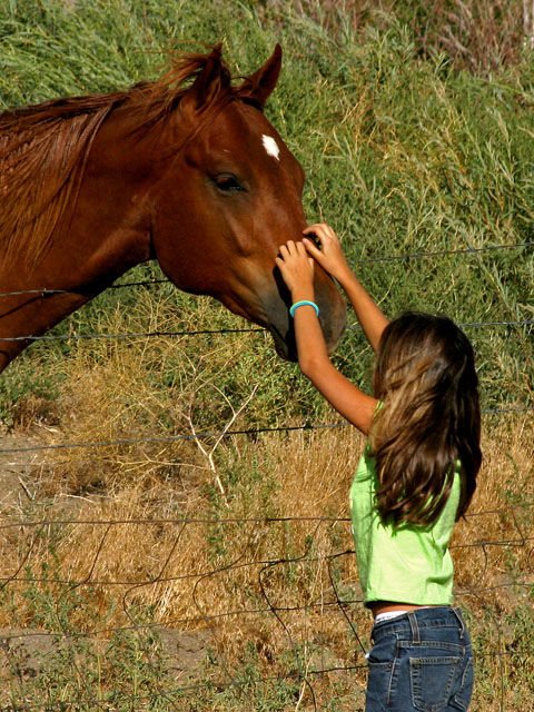 Daisy_Horse.jpg