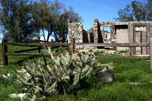 Abandoned with Cactus