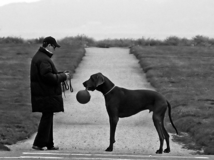 Ball BW