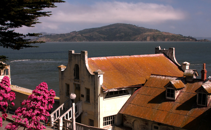 Flowers and Rooftops