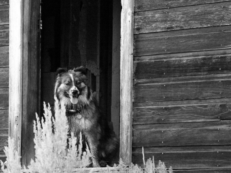 Pat in the Doorway