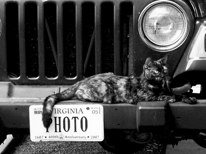 Ramona on the Jeep
