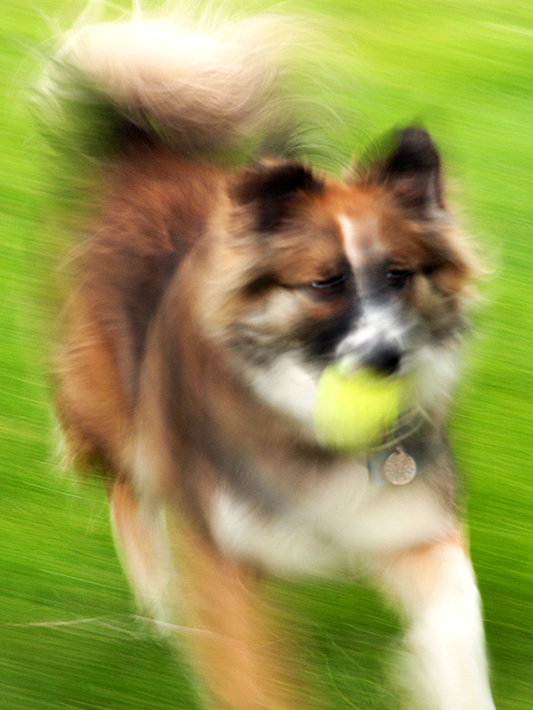 Pat and the Ball