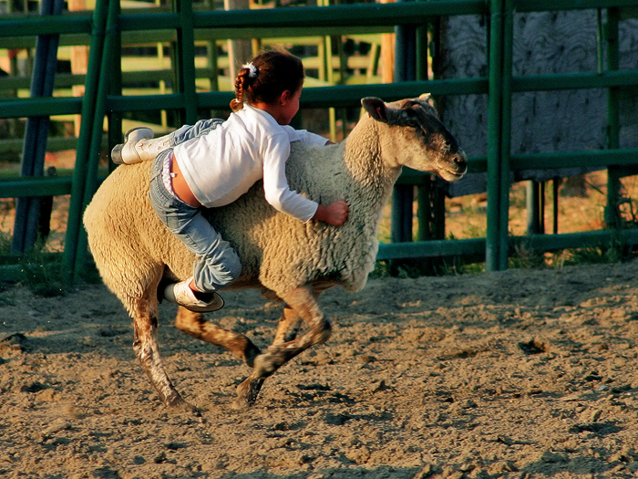Girl on a Sheep