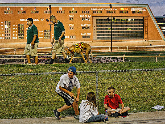 Night-at-the-Races