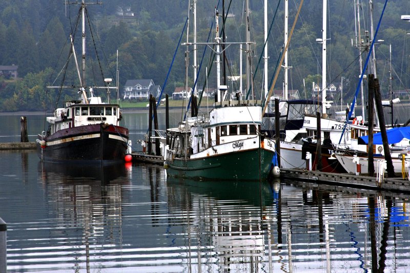 Fishing Fleet