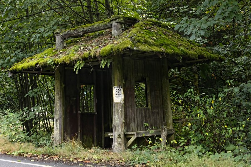 Baimbridge Bus Stop