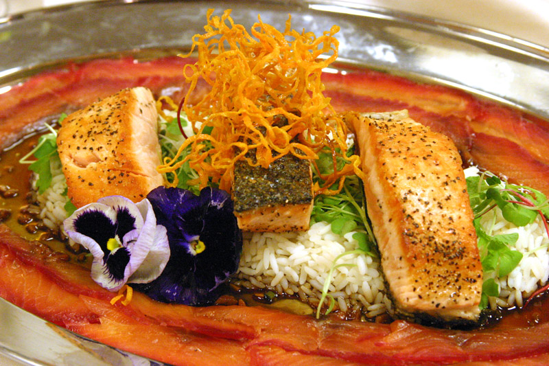 Salmon
