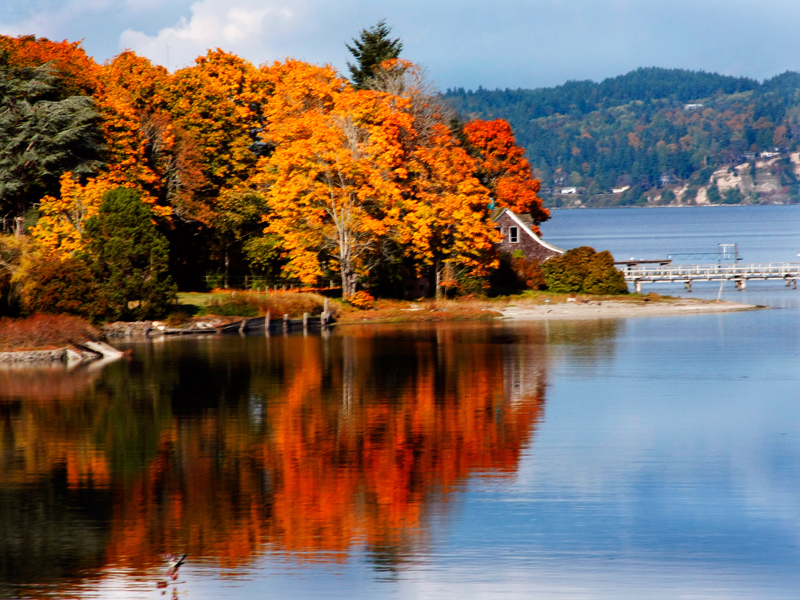 Island-Cottage