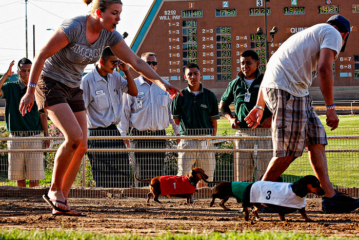 Weiner-Dog-Race