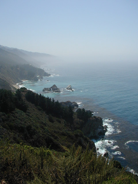 Kelp_P8270005=640-7.jpg