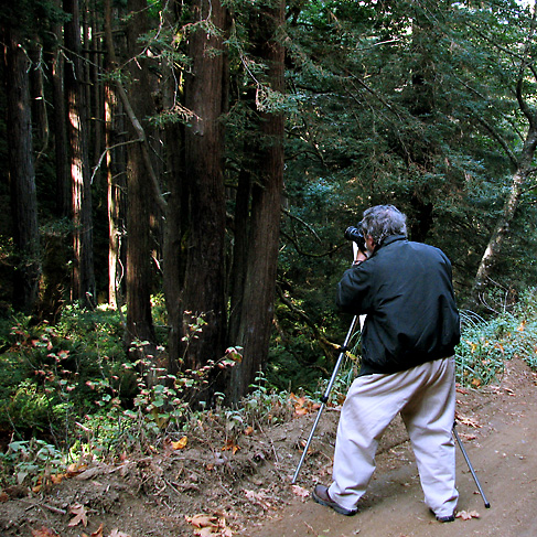 BearWoods_IMG_5945-DPC.jpg