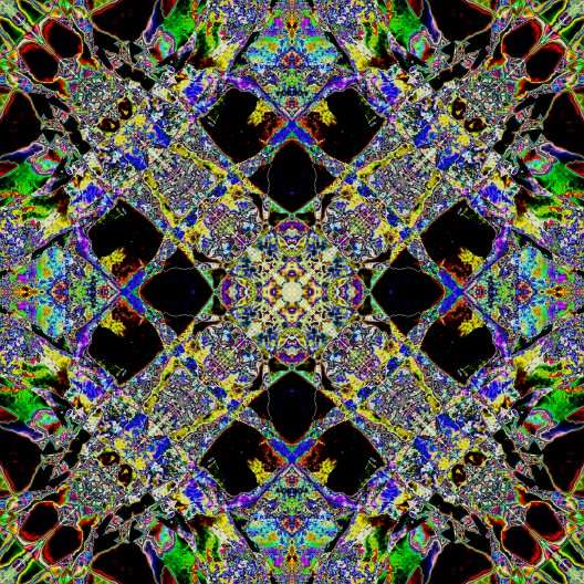 Branches_IMG_5388-FBexcexcdifinv2-RS25sq
