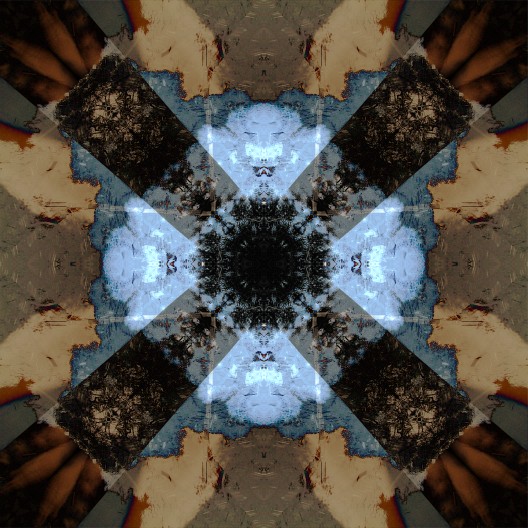 BldgTree_IMG_5684scrscrdif-DPCsq