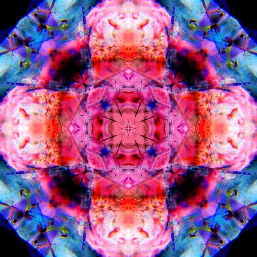 Marbles_IMG_6191-FBmuninv-DPCsq