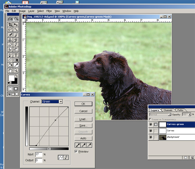 Dog_108212-Adj2-SS.jpg