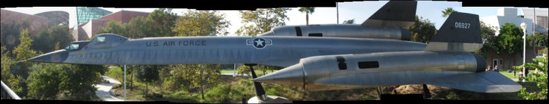 BBird_IMG_3724-9p10