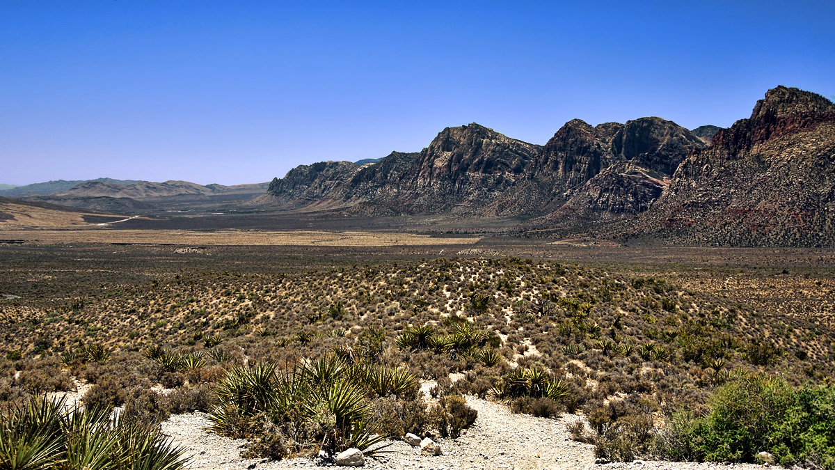 Desert_by_ciaeagle-adj2
