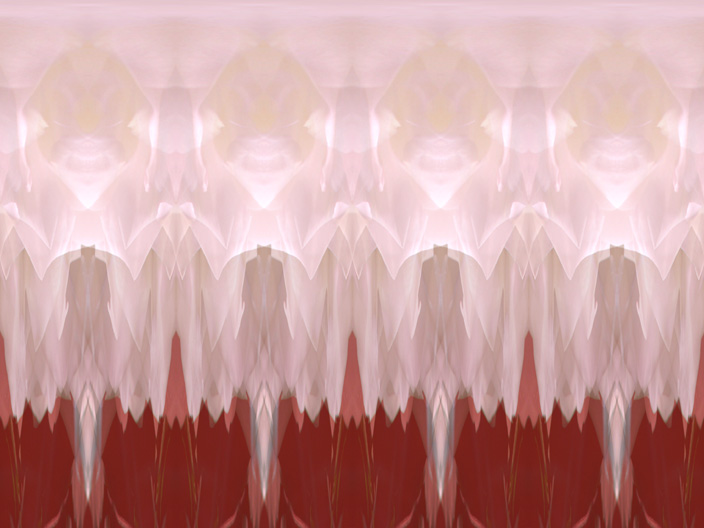 Rose_IMG_5213-Lt2Ml-R