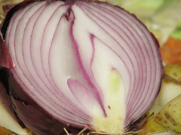 Onion_IMG_5237=704