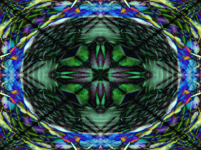 Onion_IMG_5237-DkLtDf