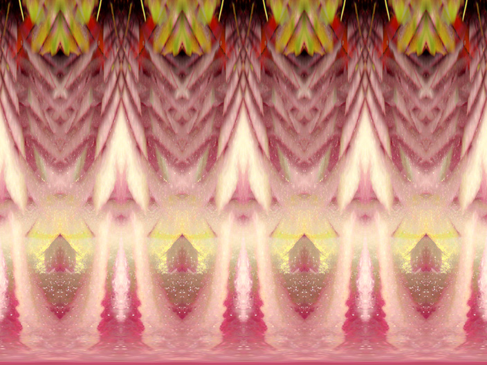 Onion_IMG_5237-DkLt2-R