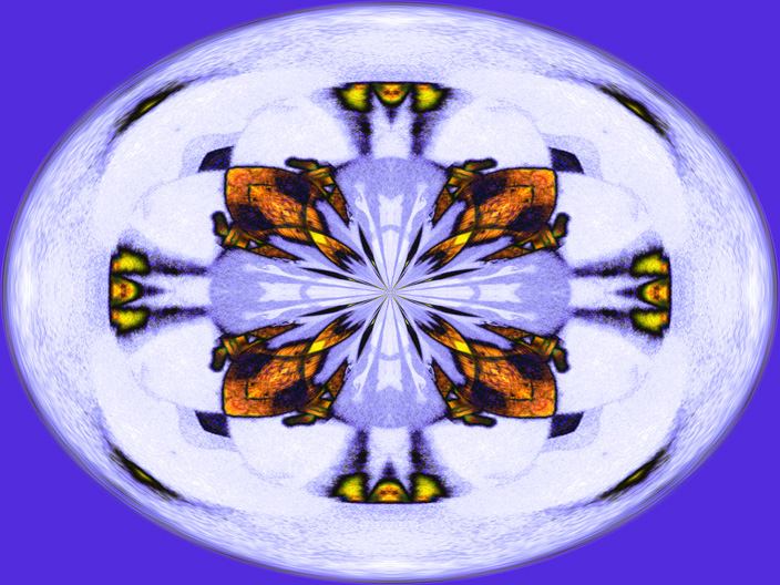 Bass_IMG_5802-LtDk2-RP