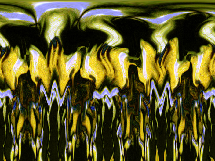 Bass_IMG_5802-LtDkDf-WR