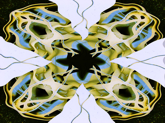 Wheel_IMG_6114-DkLt2-W