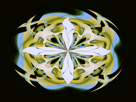 Wheel_IMG_6114-DkLt2-WRP